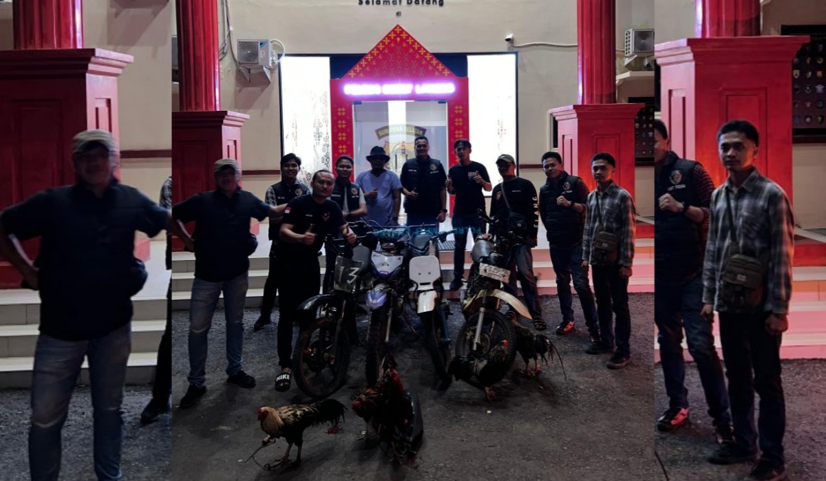 Polres Empat Lawang Berhasil Gerebek Judi Sabung Ayam di Perkebunan Kopi Talang Are