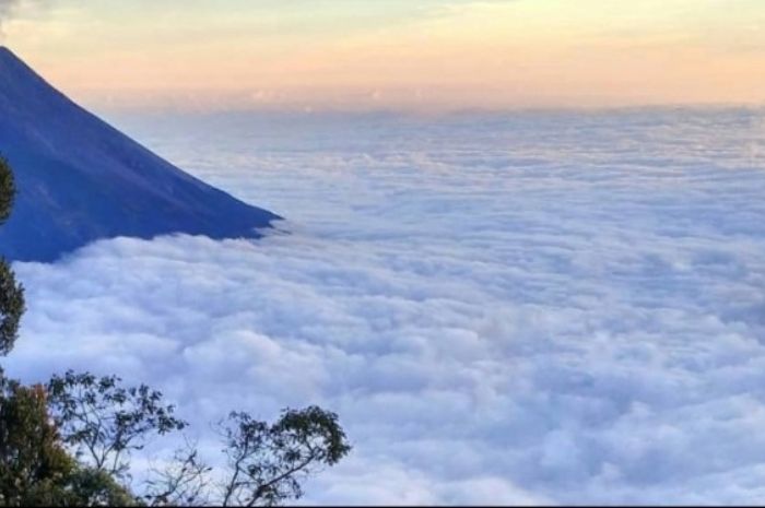 Cerita Mistis Pendaki Gunung Merbabu, Yogyakarta: Ada Suara-Suara Aneh dan Kabut Tebal Menyelimuti