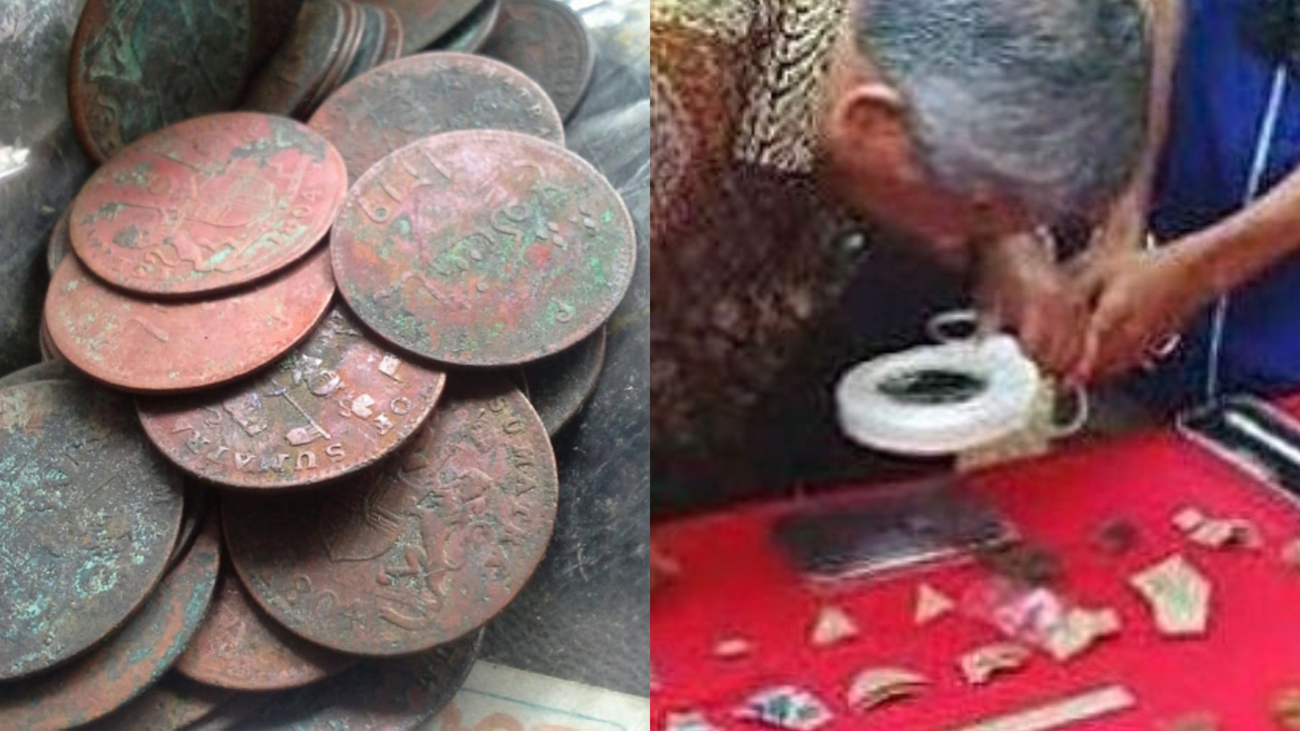 Benda Apakah Yang ditemukan di Situs Gunung Padang, Ada Koin Kuno dan Beliung Persegi