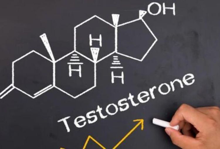 Hormon Testosteron Menurunkan Sensitivitas Terhadap Ekspresi Marah