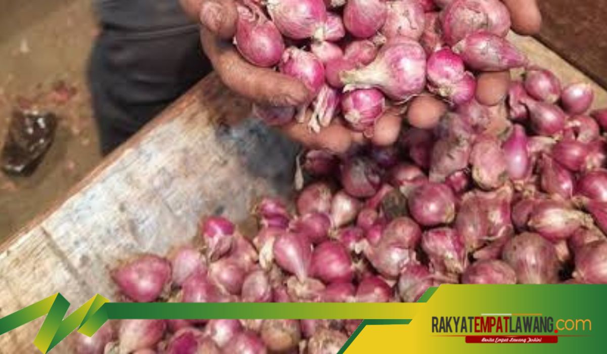 Efek Ajaib Simpan Bawang Merah di Ruang Tamu Semalaman: Satu Rumah Langsung Rasakan Khasiatnya