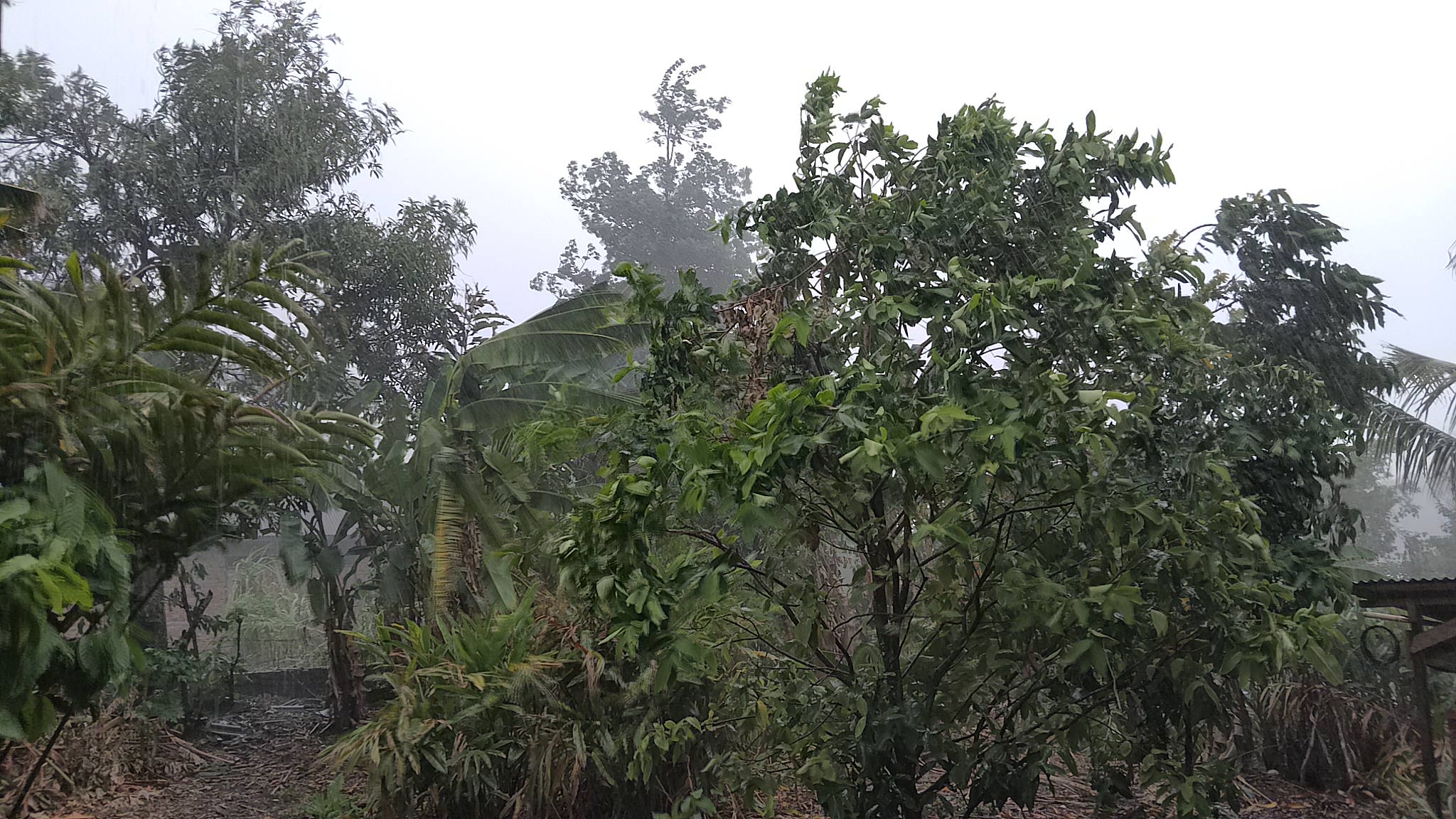 EMPAT LAWANG WASPADA! BMKG Peringatkan Potensi Bencana Musim Hujan di Sumsel Wilayah Barat