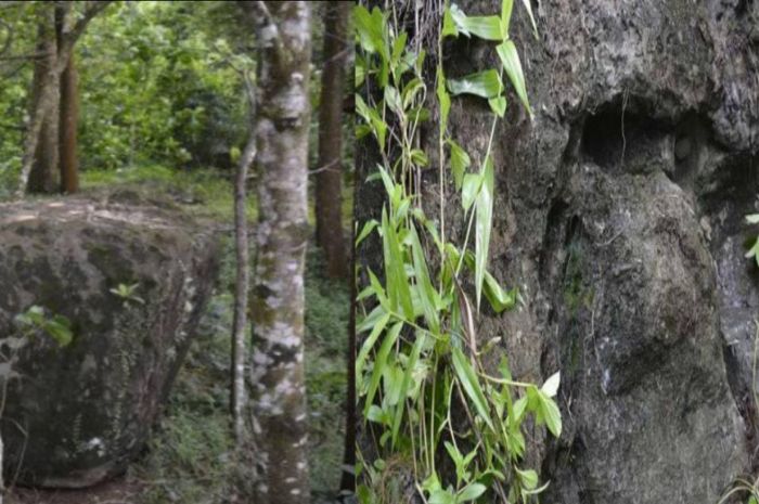 Misteri Peti Batu di Aceh Jaya Begini Cerita Keajaiban yang Menggugah Rasa Penasaran