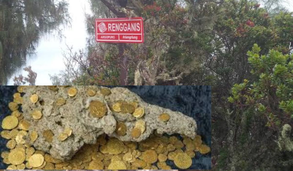 Kisah Harta Karun Terkutuk Dewi Rengganis Gunung Argopuro Apakah Benar Ada? 