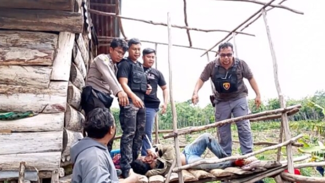 Anak 4 Tahun Disandera di Perkebunan Kopi, Polisi Berhasil Selamatkan Korban