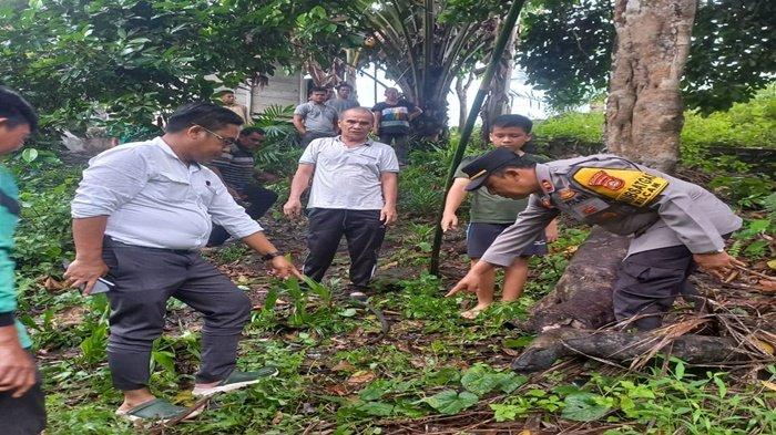 Misteri Kakek Tewas di Bawah Pohon Durian, Ini Fakta Mengejutkannya!