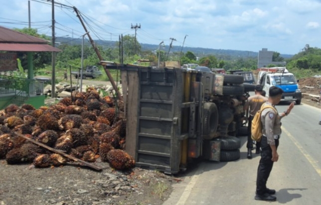 Truk Bermuatan Sawit Terguling di Tebing Alai Empat Lawang, Sopir Alami Luka Ringan