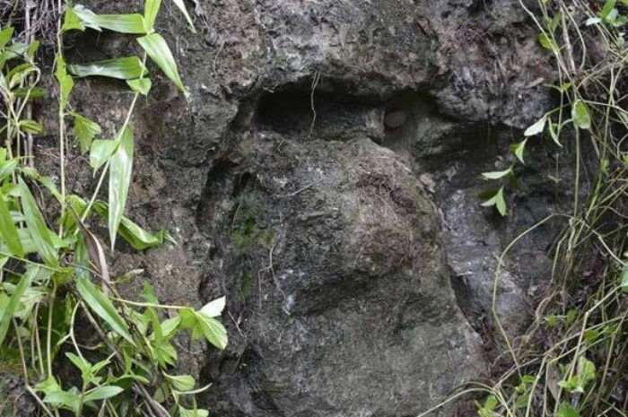 Misteri Peti Batu di Aceh Jaya: Keajaiban yang Menggugah Rasa Penasaran