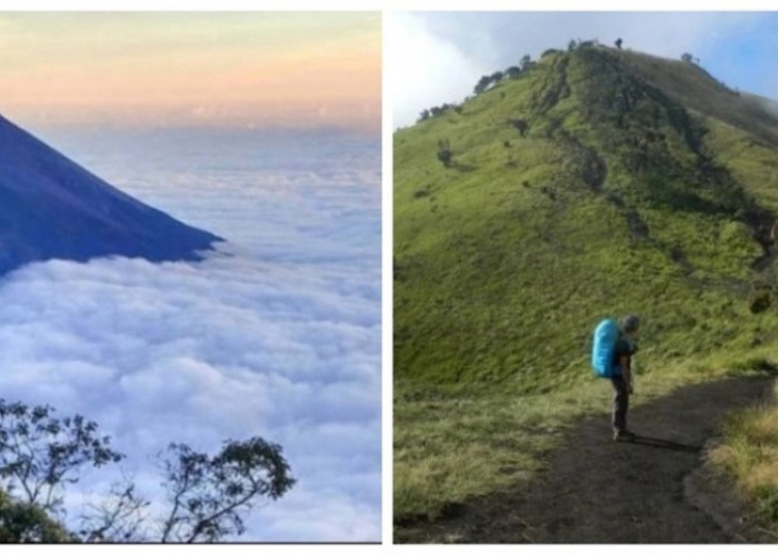 Seram! Cerita Mistis Pendaki Gunung Merbabu, Yogyakarta: Ada Suara-Suara Aneh dan Kabut Tebal Menyelimuti