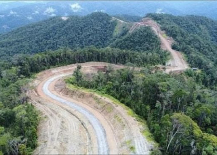 Pembangunan Jalan Trans Papua, Tantangan dan Harapan untuk 2024