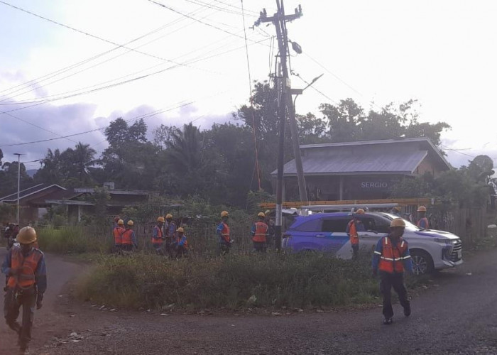 Pemeliharaan Jaringan Listrik di Pagaralam, PLN ULP Pagaralam Pastikan Pasokan Lebih Stabil