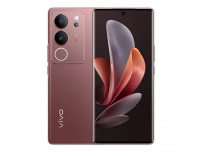 Tren Layar Lengkung 2026: Kini Bisa Dinikmati di HP Harga Menengah