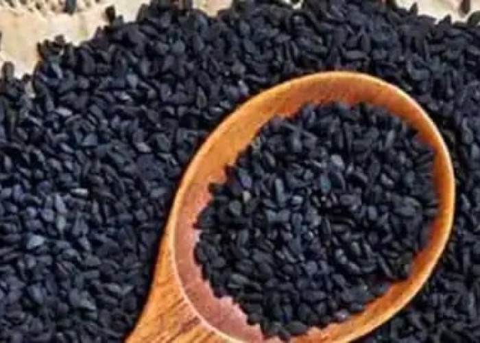 Rahasia Kesehatan Tubuh, Black Cumin, Si Biji Hitam Ajaib yang Bisa Tingkatkan Imun Tubuh!