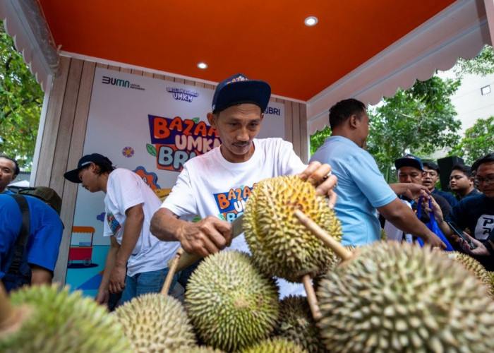 Perkembangan Kelompok Petani Durian di Pekalongan Berkat Pemberdayaan BRI