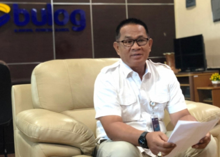 Bulog Sumsel-Babel Serap 97 Ribu Ton Gabah Setara Beras, Tertinggi Sepanjang Sejarah