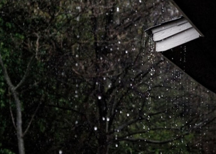 BMKG Ingatkan Potensi Hujan Lebat dan Petir di Sejumlah Wilayah Indonesia Hari Ini