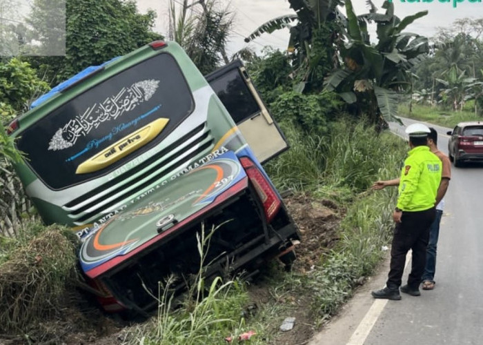 Bus ALS Tergelincir di Jalintim Palembang-Jambi, Seluruh Penumpang Selamat