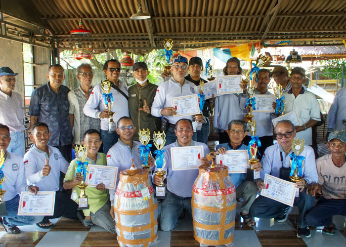 Semarak HUT Lahat ke-156, P3SI Korda Lahat Gelar Lomba Seni Suara Burung Perkutut