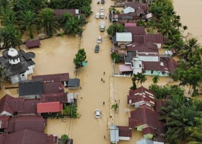 Joko Widodo, Lulusan UGM yang Kini Pimpin Task Force BRIN untuk Penanggulangan Bencana Sumatera