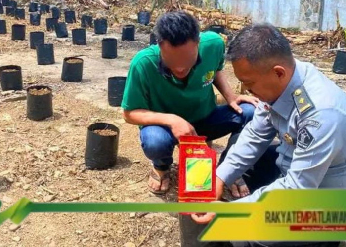 Warga Binaan Lapas Empat Lawang Tanam Jagung untuk Dukung Ketahanan Pangan