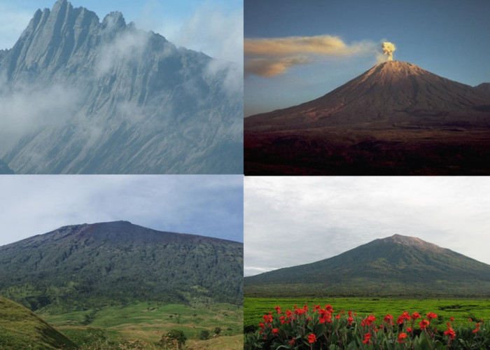 Mengenal Seven Summit Indonesia: Tantangan Mendaki Puncak Tertinggi di Tanah Air