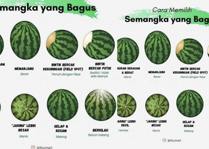 Cara Memilih Semangka yang Segar dan Berkualitas