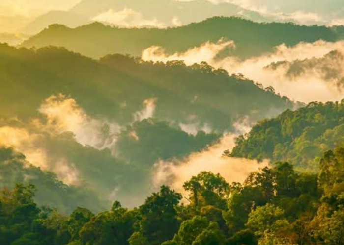 Misteri Kaeng Krachan: Kisah Angker Roh Hutan yang Berbisik