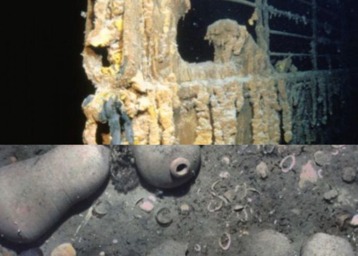 Penemuan Harta Karun di Dasar Laut Dunia yang Fenomenal 