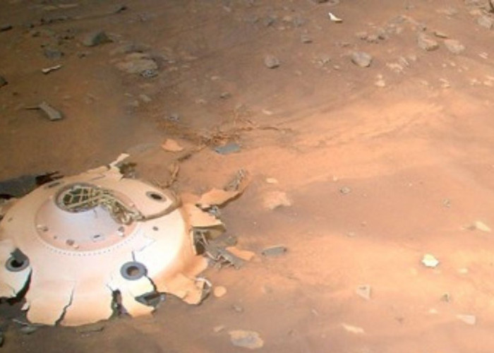 NASA Temukan Batu Mirip Kulit Zebra di Mars, Ilmuwan Bingung dengan Pola Aneh