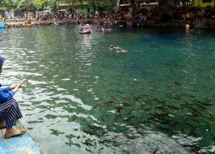 Tempat Angker dan Mistis di Pasuruan: Eksplorasi Sosok Ular Besar dan Kisah Mistisnya