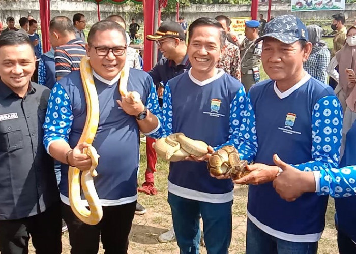Sekda Kota Palembang Buka Resmi PET Festival 2023