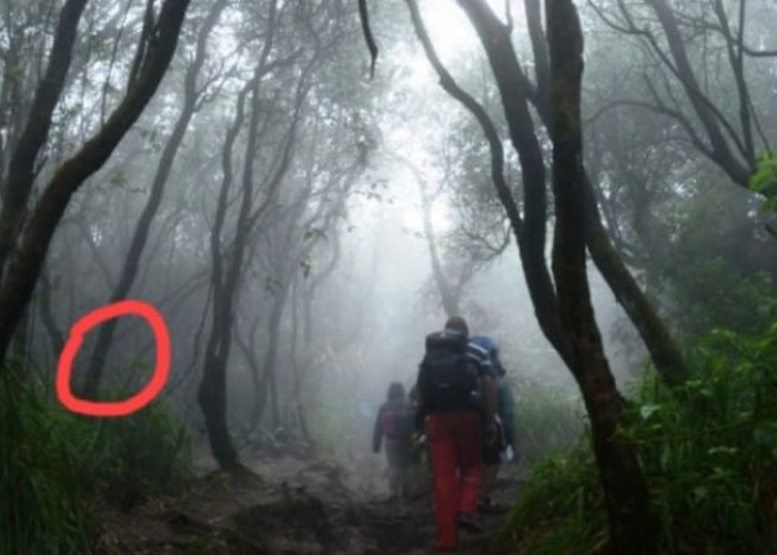 Keajaiban atau Khayalan? Misteri Pendaki yang Bertemu dengan Orang Bunian di Jawa Barat
