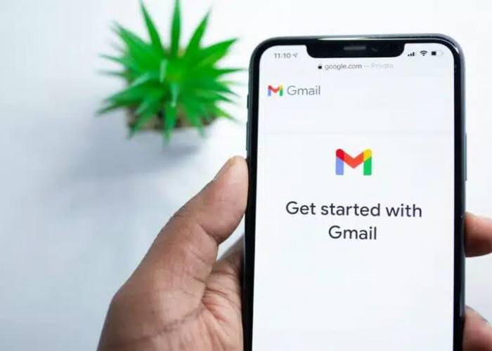 Kepanikan di Kalangan Pengguna Google Akibat Notifikasi ‘Kartu Baru’, Ternyata Hanya Bug