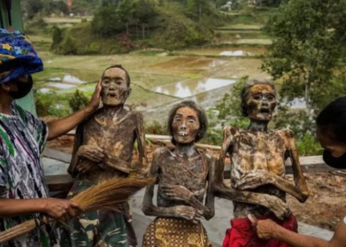 Perjalanan Spiritual: Ritual Ma'nene Suku Toraja