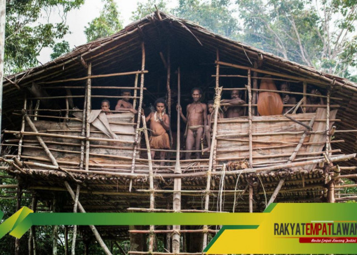 Keajaiban Keragaman Suku di Indonesia: Dari Rumah Pohon Hingga Tradisi Pemakaman yang Megah