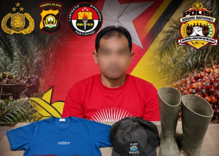 CCTV Tersembunyi Bongkar Pencurian Sawit di Empat Lawang, Pria 46 Tahun Ditangkap Polisi