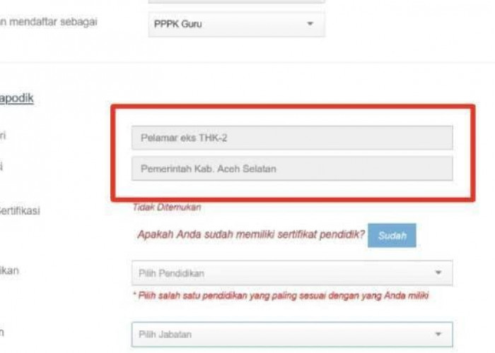 Jangan Sampai Ketinggalan! Begini Cara Cek Pengumuman Lulus PPPK 2024 Tahap I