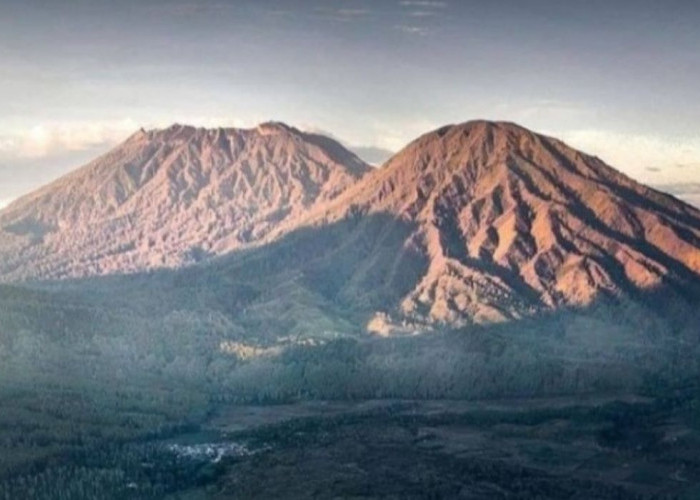 Bukit Jabal Kirmit: Pesona Alam Bondowoso yang Menyaingi Keindahan Pegunungan Alpen