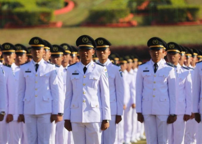 Sekolah Kedinasan Terfavorit di Indonesia: Jaminan Karir dan Kualitas Pendidikan