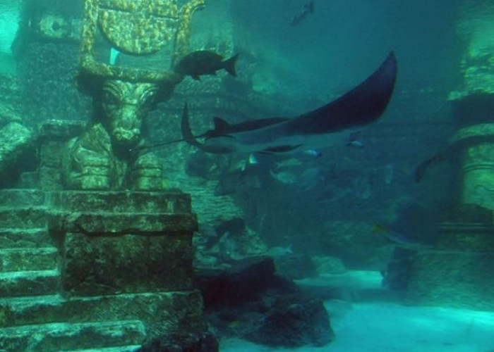 Kota Atlantis: Misteri Tersembunyi dan Jejak Kehidupan Kuno Bawah Laut Pulau Nias