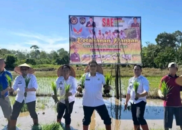 Wujudkan Ketahanan Pangan, Lapas Empat Lawang Tanam Padi di Lahan Sarana Asimilasi dan Edukasi