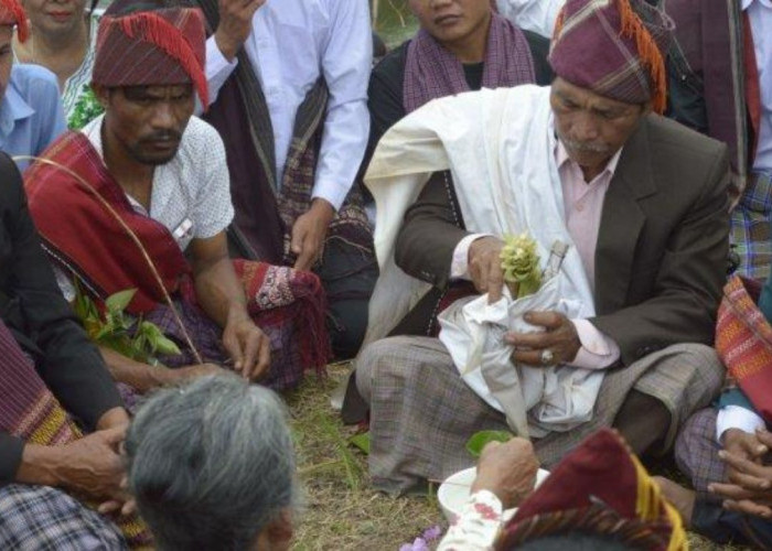 Mengungkap Kekuatan Kebudayaan: Ritual Hahonim Horja Masyarakat Batak Toba