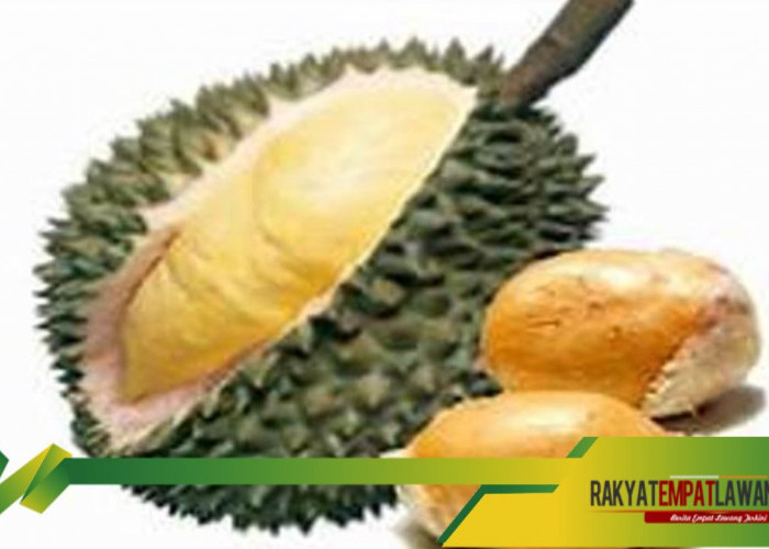 Mencegah Radikal Bebas: Manfaat Kesehatan Biji Durian, Bisa Menunda Penuaan Dini Lho