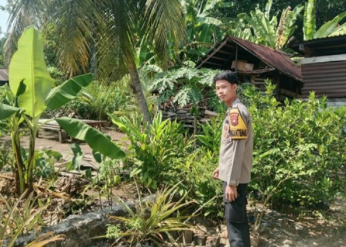 Bhabinkamtibmas Polsek Pendopo Cek Pekarangan Bergizi Warga Tanjung Baru, Dukung Ketahanan Pangan