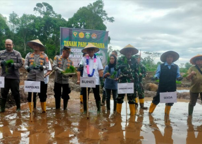 Dukung Ketahanan Pangan Nasional, Pemkab Empat Lawang dan Korem 044/GAPO Buka 11 Hektar Sawah Baru