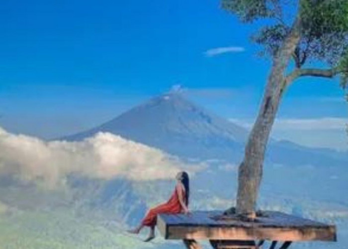 TOP 5 Gunung Tertinggi di Bali: Referensi Liburan Selain Pantai dan Hura-Hura