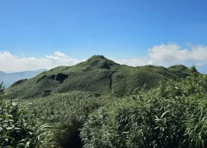 Wanita Taiwan Temukan Pendaki Telanjang di Gunung Yangmingshan, Viral di Media Sosial