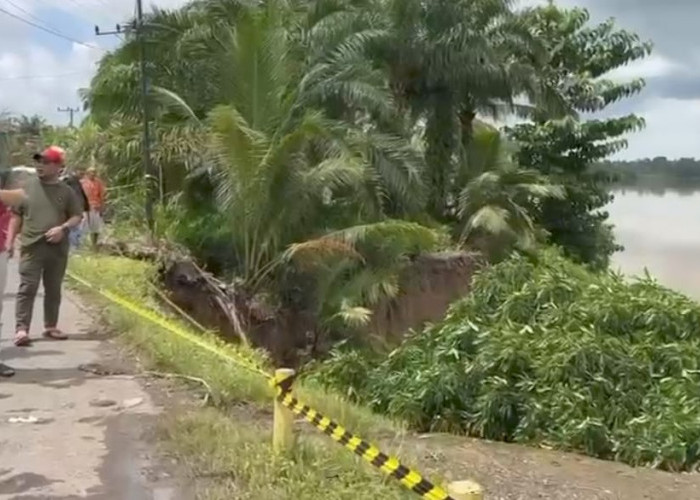 Malam Mencekam di Musi Banyuasin: Longsor di Bantaran Sungai Musi, Begini Respons Cepat Aparat