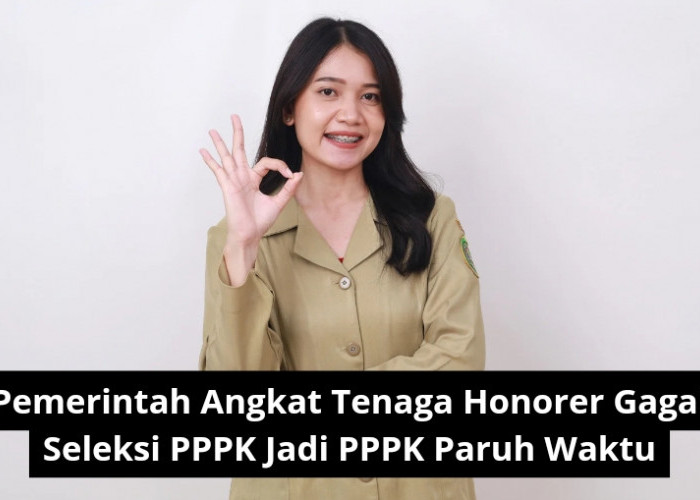 Tenaga Honorer Gagal Seleksi PPPK 2024? Ini Solusi Mengejutkan dari Pemerintah!