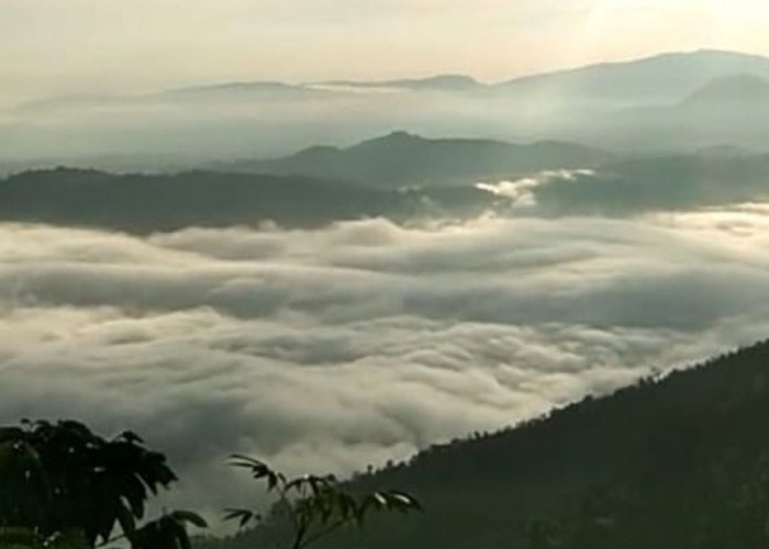 Mirip Gunung Putri Lembang, Empat Lawang Juga Ada Negeri di Atas Awan, Cek Lokasinya!